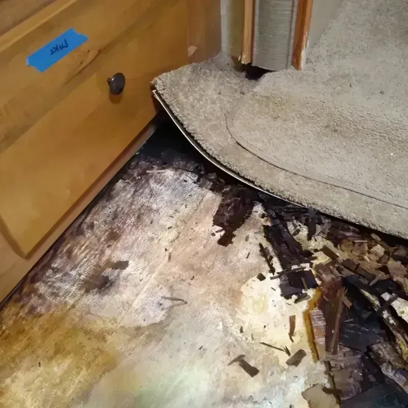 Wood Floor Water Damage in Gonzalez, FL